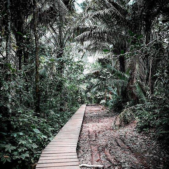 voyage-perou-puerto-maldonado-jorge-fdez-unsplash