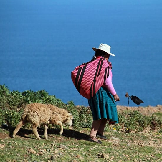 voyage-perou-puno-lac-titicaca-monica-volpin-pixabay