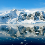Croisière en Antarctique à bord du Navire Albatros