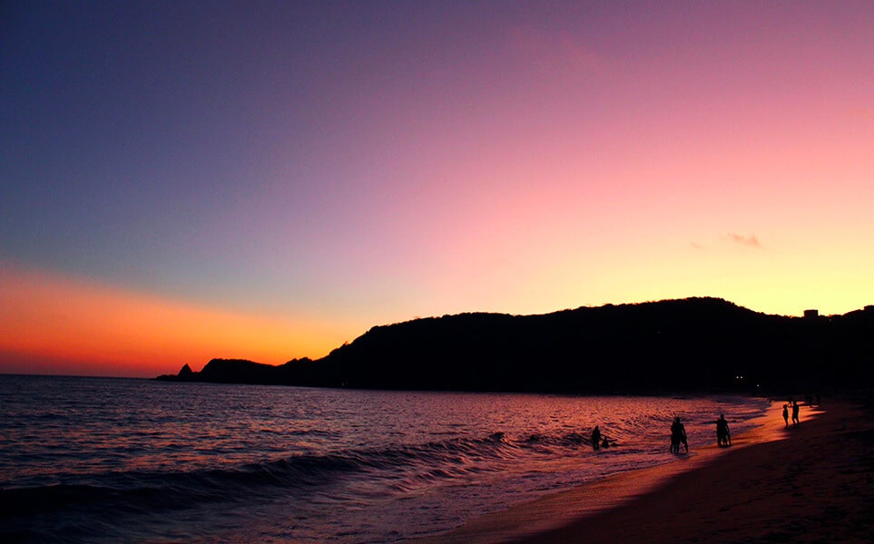 voyage-mexique-oaxaca-mazunte-ara-cg-unsplash
