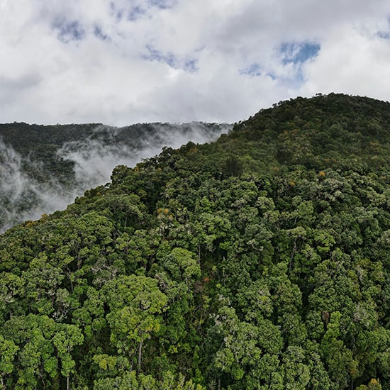 voyage-costa-rica-san-gerardo-de-dota-kyle-pearce-unsplash