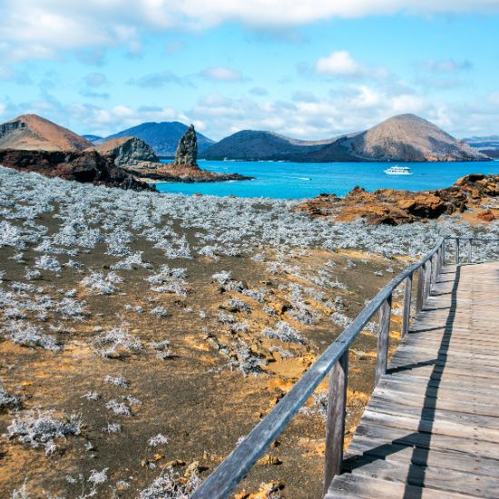 voyage-equateur-galapagos-jkraft5