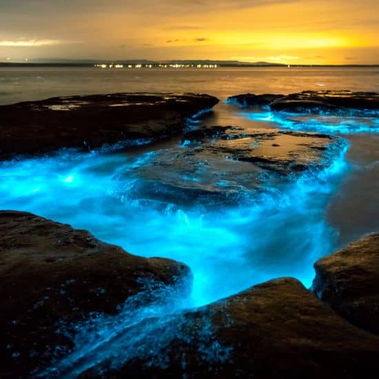 biolumenscence-rugli-g-getty-images