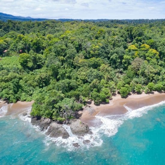 voyage-costa-rica-corcovado-4fr-getty-images