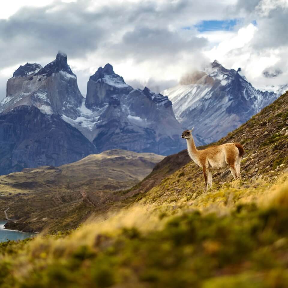 organiser-voyage-patagonie-pexels-marek-piwnicki