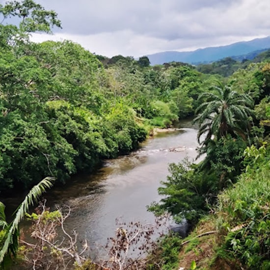 voyage-panama-embera-puru-odys