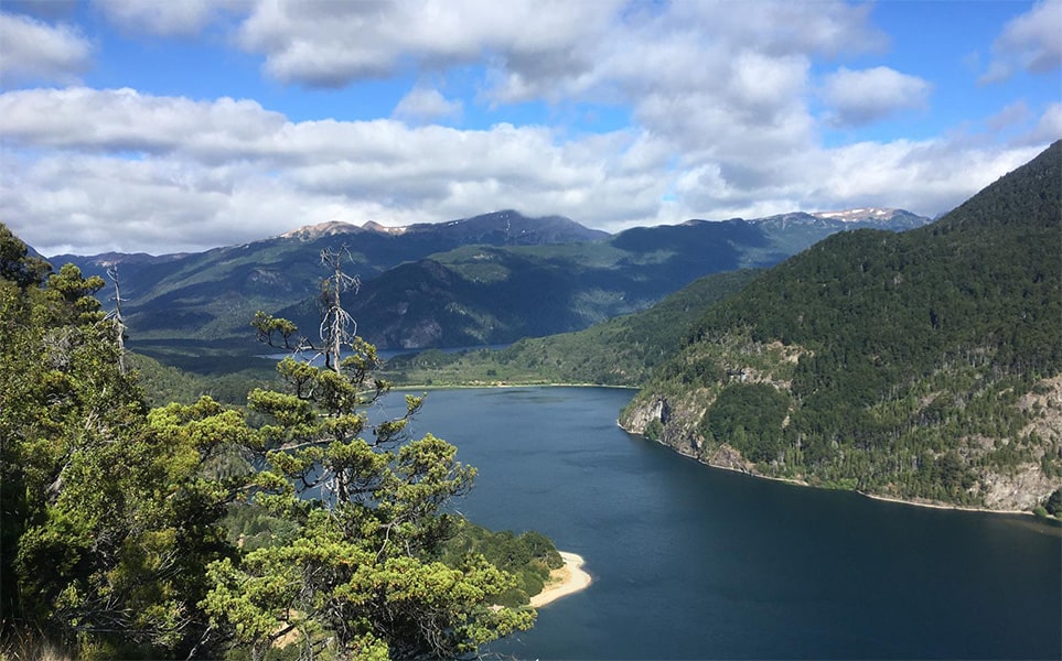 voyage-argentine-patagonie-alerces-sophie-levy