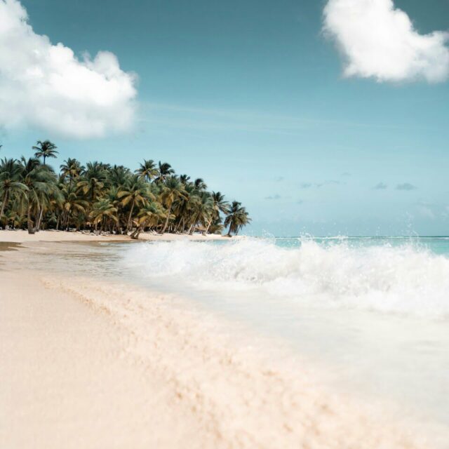 organiser-voyage-republique-dominicaine-saona-kamil-kalbarczyk-unsplash