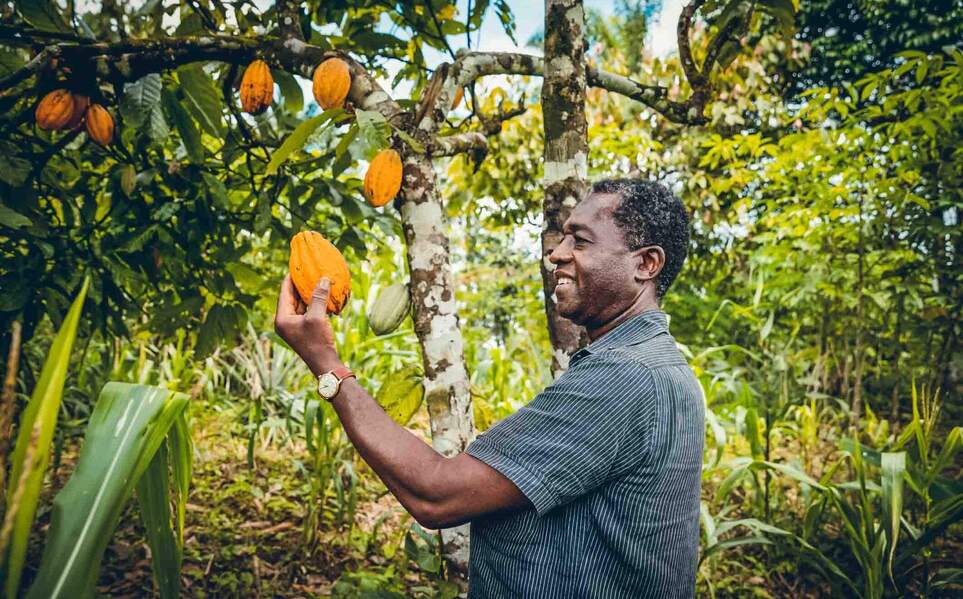 voyage-republique-dominicaine-habitant-cacao-holaqueya