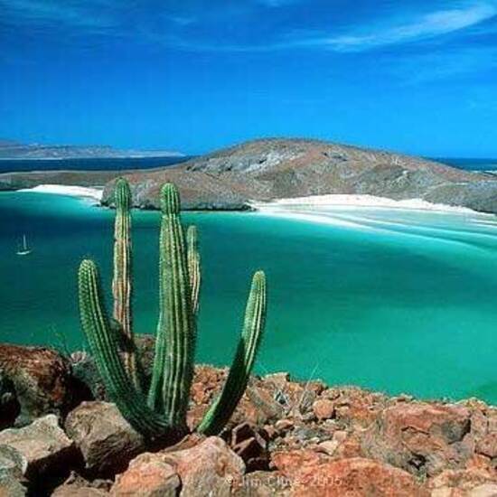voyage-mexique-basse-californie-la-paz-odys