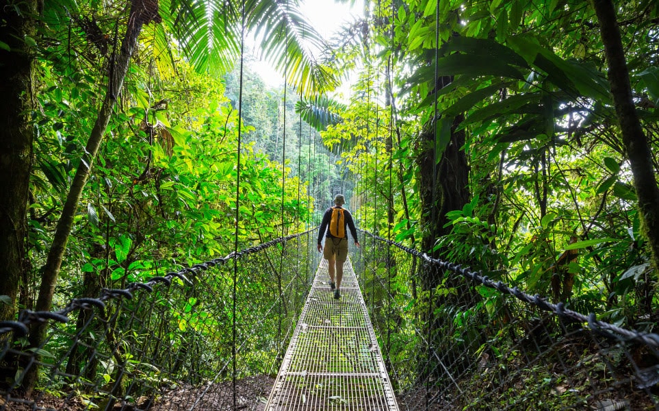 voyage-costa-rica-saison-des-pluies-hike-galyna-andrushko-envato