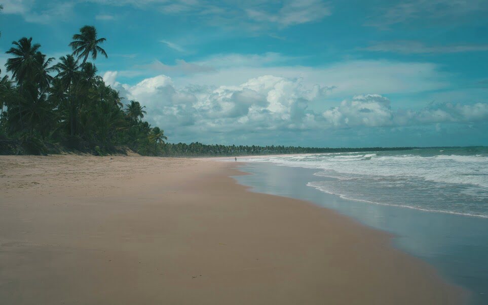 voyage-bresil-praia-do-forte-dennis-schmidt-unsplash
