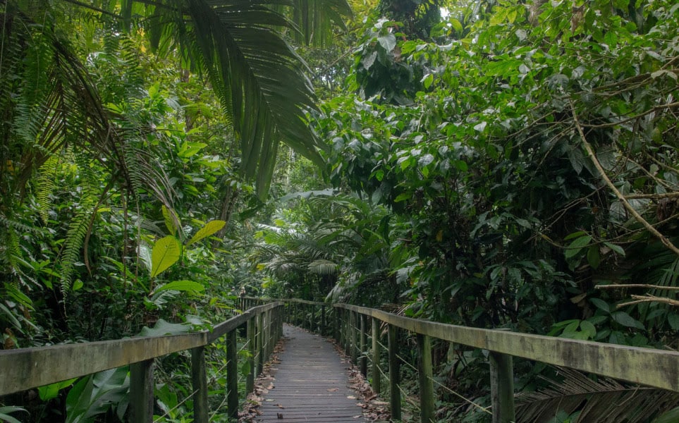 voyage-costa-rica-saison-des-pluies-selva-jennifer-hernandez-pexels