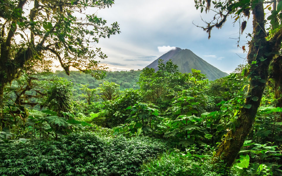 voyage-costa-rica-saison-des-pluies-selva-kjwells86-envato