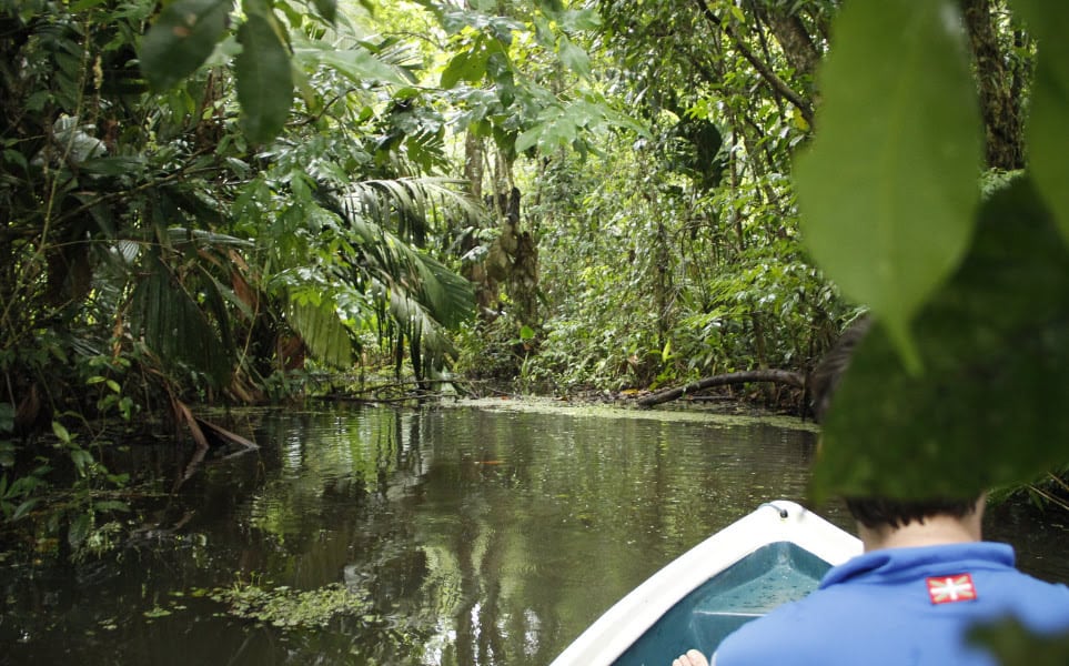 voyage-costa-rica-saison-des-pluies-tortuguero-unai82-envato