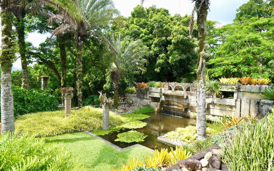 voyage-bresil-rio-jardim-botanico-sascha-braun-unsplash